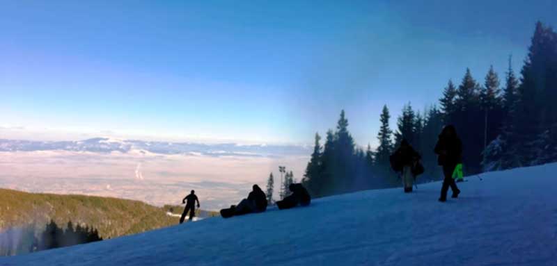 Снег, лес горы. Спуск на горных лыжах